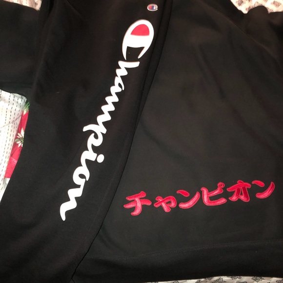 Pick a part the champion outfit - Picture 7 of 8